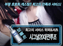 오피스타 | [시그널20대전투조-하퍼&셔츠]