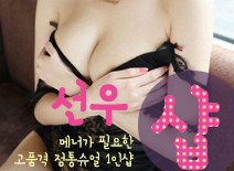 오피스타 | [일산건마-선우1인샵]