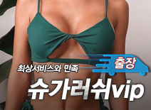 오피스타 | [강남출장-슈가러쉬vip]