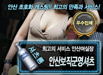 오피스타 | [안산보직군영셔츠-안산여실장]