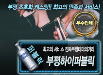 오피스타 | [부평하이퍼블릭-진짜부평테마의거리]