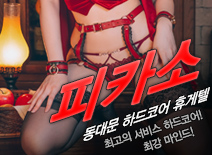 오피스타 | [동대문휴게텔-피카소]