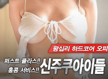 오피스타 | [왕십리오피-신주쿠아이들]